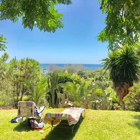 Apartamento Edificio Agata *